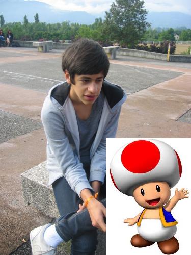 toad